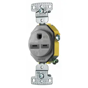 Image of RR155GYWR TradeSelect, Straight Blade, Single Receptacle, Weather Resistant, 15A 250V, 2-Pole 3-Wire Grounding, 6-15R, Gray