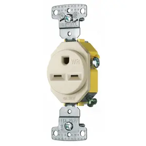 Image of RR155LAWR TradeSelect, Straight Blade, Single Receptacle, Weather Resistant, 15A 250V, 2-Pole 3-Wire Grounding, 6-15R, Light Almond