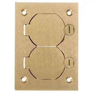 Image of S3825 1-Gang Cover, Rectangular, Duplex Flaps, Brass