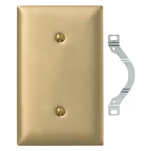 Image of SB14 Wallplates and Boxes, Metallic Plates, 1- Gang, Blank, Standard Size, Brass