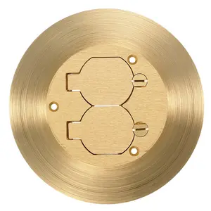 Image of SF3925 1-Gang One Piece Cover/Carpet Flange, Round, Duplex Flaps, Brass