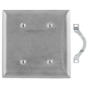 Image of SS24 Wallplates and Boxes, Metallic Plates, 2- Gang, Blank, Standard Size, Stainless Steel