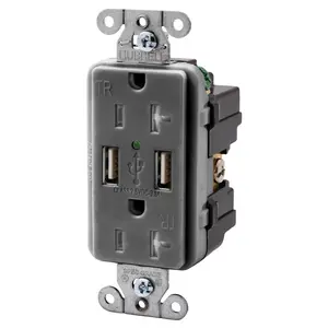 Image of USBB20GY Straight Blade Devices, Receptacles, Duplex, USB Charger, 5V 3A, 2-Port, 20A 125V, 2-Pole 3-Wire Grounding, 5-20R, Gray