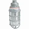 Image of VUAGG-1-100PX VUAGG-1-100PX - 150W V Series Incandescent - Pendant - 1/2" Hub With Globe and Guard - Unit Pack