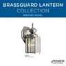 PROG_BrassGuard_Brushed_Nickel_GeneralLit