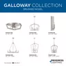 PROG_Galloway_BN_Collection_GeneralLit