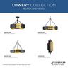 PROG_LOWERY_COLLECTION_BLACK_AND_GOLD_GeneralLit