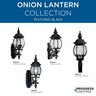 PROG_Onion_Lantern_Textured_Black_GeneralLit