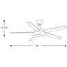 PROG_P2539dimensions_lineart