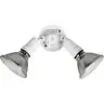 Image of P5212-30 Two-Light Adjustable Swivel Flood Light