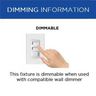 PROG_PL_1596_Dimming_info-Graphic