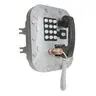 Image of 352-701 VoIP Phone (Class I Div 1)