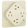 Straight Blade Devices, Receptacles, Quad-PLEX, Hospital Grade, 15A 125V, 2 -Pole 3-Wire Grounding, 5-15R, Ivory, Single Pack