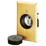 Straight Blade Devices, Specialty Receptacles, Floor Mounted, Receptacle and Plate, 15A 125V, 2-Pole 3-Wire Grounding, 5-15R, Smooth Brushed Brass Finish, Single Pack