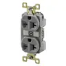 Image of BRY5462GRY Straight Blade Devices, Receptacles, Duplex, Commercial/Industrial Grade, 20A 250V, 2-Pole 3-Wire Grounding, 6-20R, Gray, Single Pack