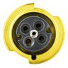 PS,IEC,RECP,2P3W,60A 125V,4X/IP69K,PILOT
