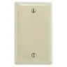 Image of NP13AL Wallplates and Box Covers, Wallplate, Nylon, 1-Gang, Blank, Box Mount, Brown