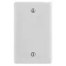 Image of NP13OW Wallplates and Box Covers, Wallplate, Nylon, 1-Gang, Blank, Box Mount, Office White