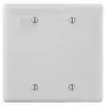 Image of NP23W Wallplates and Box Covers, Wallplate, Nylon, 2-Gang, 2) Blank, Box Mount, White