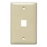 Image of NSP101I Plate, Wall, Label-Less, Mid-Sized, 1- Port, Electric Ivory