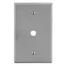 Image of P11GY Wallplate, 1-Gang, .406" Opening, Box Mount, Gray