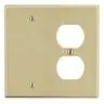 Image of P138I Wallplate, 2-Gang, 1) Duplex 1) Box Mount Blank, Ivory