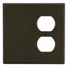 Image of P138 Wallplate, 2-Gang, 1) Duplex 1) Box Mount Blank, Brown