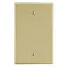 Image of P13I Wallplate, 1-Gang, Box Mount Blank, Ivory