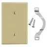 Image of P14I Wallplate, 1-Gang, Strap Mount Blank, Ivory