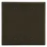 Image of P23 Wallplate, 2-Gang, 2 Box Mount Blank, Brown