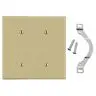 Image of P24I Wallplate, 2-Gang, 2 Strap Mount Blank, Ivory