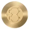 Image of SF3925 1-Gang One Piece Cover/Carpet Flange, Round, Duplex Flaps, Brass