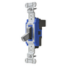 Switches and Lighting Controls, Industrial/Commercial Grade, SNAPConnect Series, Toggle Switches, Single Pole, 15A 120/277V AC, Gray Toggle, North American