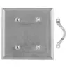 Image of SS24 Wallplates and Boxes, Metallic Plates, 2- Gang, Blank, Standard Size, Stainless Steel