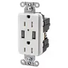 Image of USBB15W Straight Blade Devices, Receptacles, Duplex, USB Charger, 5V 3A, 2-Port, 15A 125V, 2-Pole 3-Wire Grounding, 5-15R, White