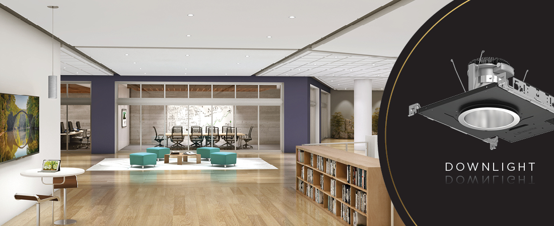 Liteistry Downlight Feature